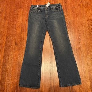 Soho - NY & Company Jeans, Curvy Bootcut